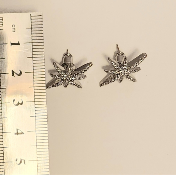 North Star Earrings StSt - Picture 2 of 3